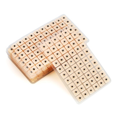 Semillas de Vaccaria x1200