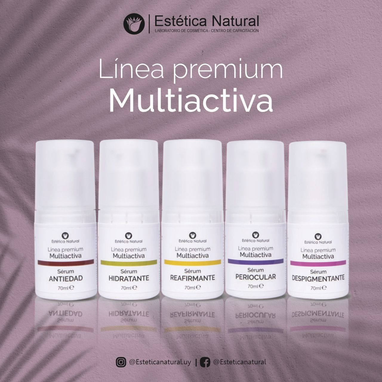 Set Completo Linea Premium Multiactiva