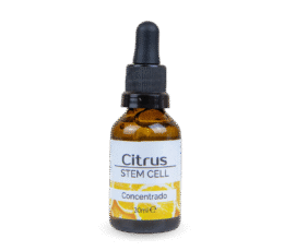 Concentrado citrus stem cell células madres