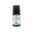 aceite esencial de alcanfor terapeutico