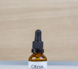 Concentrado citrus stem cell células madres