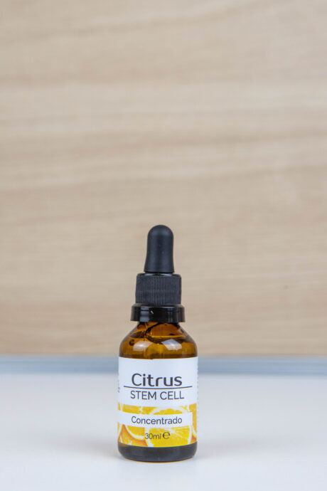 Concentrado citrus stem cell células madres