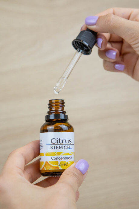 Concentrado citrus stem cell células madres