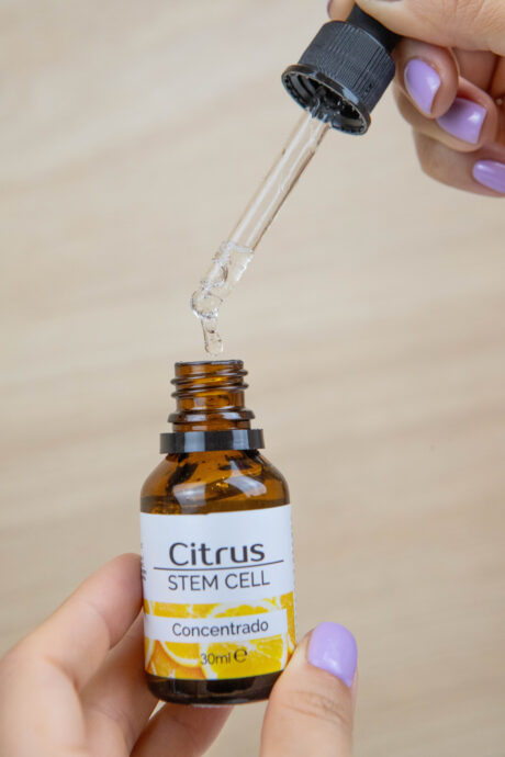 Concentrado citrus stem cell células madres