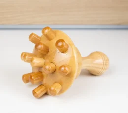 Champiñón De Maderoterapia 1