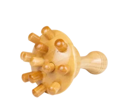 Champiñón De Maderoterapia 0