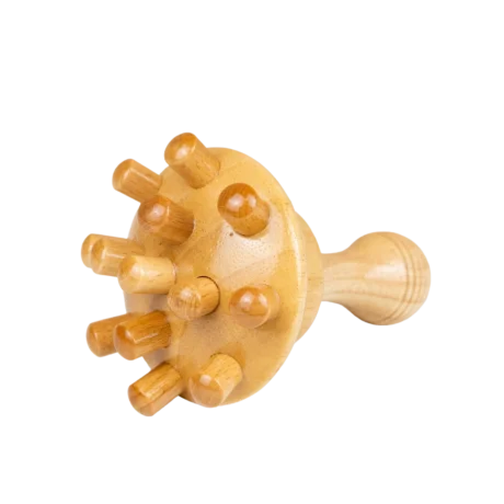 Champiñón De Maderoterapia 0