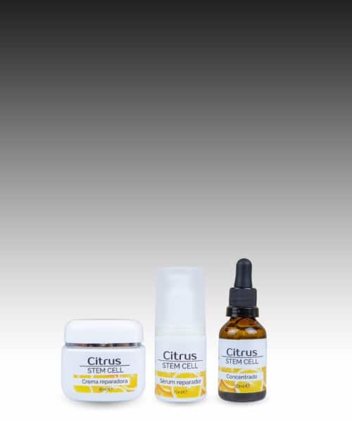 estética natural banners mobile citrustem