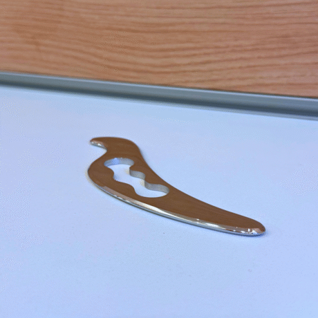 gua sha de metalterapia 2